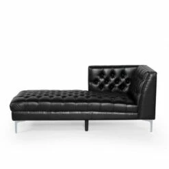 Tignall Contemporary Tufted One Armed Chaise Lounge - Christopher Knight Home Dark Brown/silver - -Living Room Chairs store unnamed file 10498