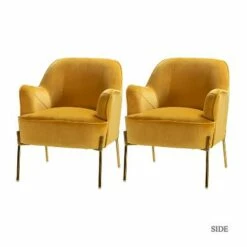 Odo Velvet Accent Arm Chair Padded Seat Set of 2 | Karat Home -Living Room Chairs store unnamed file 1133