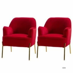 Odo Velvet Accent Arm Chair Padded Seat Set of 2 | Karat Home -Living Room Chairs store unnamed file 1134