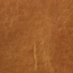 Poly & Bark Marseilles Lounge Chair Cognac Tan - Poly & Bark -Living Room Chairs store unnamed file 11497