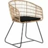 Grayham Rattan Lounge Chair Black - Finch