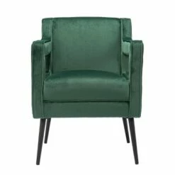 Cainish Upholstered Accent Chair Green/Black - Aiden Lane