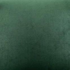 Cainish Upholstered Accent Chair Green/Black - Aiden Lane -Living Room Chairs store unnamed file 3048