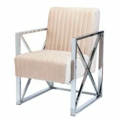 Echidna Velveteen Accent Chair Champagne/Chrome - Aiden Lane
