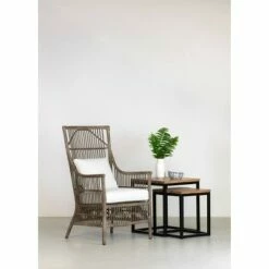 Set of 2 Edie High Back Armchair Brown - East At Main