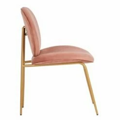Set of 2 Jordana Round Side Chair Dusty Rose/Gold - Safavieh -Living Room Chairs store unnamed file 6976